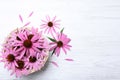 Beautiful echinacea flowers on white wooden table, flat lay. Space for text Royalty Free Stock Photo