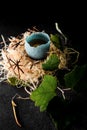 Beautiful egg in blue glazed shell in wood fiber nest decorated with green leaves