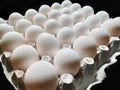 Beautiful eggs in egg crate isolated and a concept pic for winter season