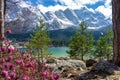 beautiful Eibsee mountain lake in Grainau Germany with Zugspitze mountains in the background and pink flowers