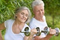 Beautiful elderly couple with dumbbells Royalty Free Stock Photo