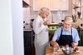 beautiful elderly couple in the kitchen at home Royalty Free Stock Photo