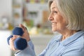 Beautiful elderly woman in a gym with dumbbells