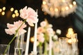 beautiful elegant decor of flowers and elegant serving on the wedding table. Royalty Free Stock Photo