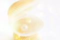 Beautiful Elegant Sea Shell with Pearl Inside. White Background Golden Bokeh Lights. Luxury Wedding Purity Harmony Concept