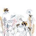 Beautiful elegant vector illustration with plants bees and bumblebee Royalty Free Stock Photo