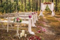 Beautiful elegant wedding decorations Royalty Free Stock Photo