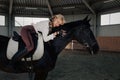 Beautiful elegant young blonde girl lies on a her black horse dressing uniform competition white blouse shirt and brown pants. Royalty Free Stock Photo