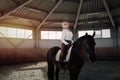 Beautiful elegant young blonde girl sits on a her black horse dressing uniform competition white blouse shirt and brown pants. Royalty Free Stock Photo