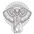 Beautiful elephant head with mandala circle background