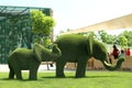 Beautiful elephant shaped topiaries at zoo. Landscape gardening