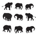 Beautiful elephant silhouette vector art design.