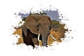 Beautiful Elephant, Street Digital Art, Abstract Design, Drawing, Painting