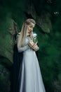 The beautiful elf Royalty Free Stock Photo