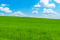 Green hillside under blue sky with beautiful clouds Royalty Free Stock Photo