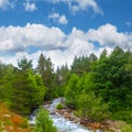 emerald mountain river rushing among green valley Royalty Free Stock Photo