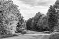 Beautiful empty asphalt road in countryside on dark background