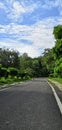 Beautiful empty road covered with trees and blue sky and clouds Royalty Free Stock Photo