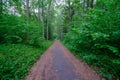 A beautiful empty road that goes through the forest and disappears into the distance. A thick gloomy forest. The sides Royalty Free Stock Photo