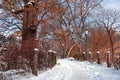 Beautiful Empty Winter Trail at Central Park Covered with Snow and lined with Colorful Trees in New York City Royalty Free Stock Photo