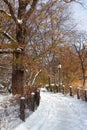 Beautiful Empty Winter Trail at Central Park Covered with Snow in New York City Royalty Free Stock Photo