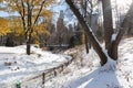 Beautiful Empty Winter Trail at Central Park Covered with Snow in New York City with Colorful Trees on a Sunny Day