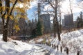 Beautiful Empty Winter Trail at Central Park Covered with Snow in New York City with Colorful Trees on a Sunny Day Royalty Free Stock Photo