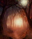 Beautiful enchanting foot path through a fairy tale misty Autumn woodland