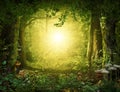 Beautiful enchanting fairy tale lush woodland, 3d render Royalty Free Stock Photo