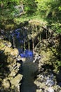 Over grown Faerie bridges spanning a deep gorge to a river