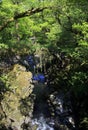 Over grown Faerie Footbridge spanning a deep gorge to a river