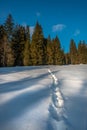 A beautiful end to the day in the mountains. Winter scenery, mysterious footprints in the snow