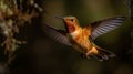 Endangered Rufous Hummingbird - Selasphorus Rufus - Generative AI