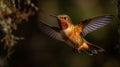 The Beautiful Endangered Rufous Hummingbird - Selasphorus Rufus - Generative AI