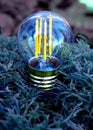 Beautiful energy-saving light bulb on a blue background. Economy. ecology,