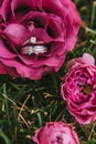 Beautiful engagement ring with a diamond close-up with a wedding gold ring in a pink rose lying on the grass Royalty Free Stock Photo