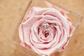 Beautiful engagement ring posed inside of pink rose Royalty Free Stock Photo