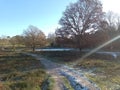 Beautiful English country side, picturesque lake, pathway down to a lake, pond, winter,wintery scene trees