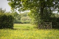 Beautiful English countryside landscape image of meadow in Spring sunshine Royalty Free Stock Photo