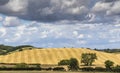 Beautiful English Landscape with striped hill after harvest, tre