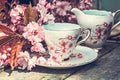 Beautiful, English, vintage teacup with Japanese cherry tree blossoms