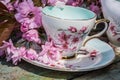 Beautiful, English, vintage teacup with Japanese cherry tree blossoms