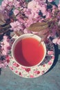 Beautiful, English, vintage teacup with Japanese cherry tree blossoms, close up