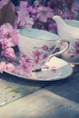 Beautiful, English, vintage teacup with Japanese cherry tree blossoms, close up