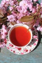 A cup of tea in a lovely English cup and Japanese cherry tree flowers