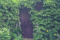 Beautiful entrance  in a brick wall covered with green vines and flowers Royalty Free Stock Photo