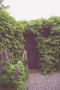 Beautiful entrance  in a brick wall covered with  vines and flowers Royalty Free Stock Photo