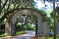 Beautiful entrance to a Spanish moss covered lane Royalty Free Stock Photo