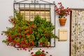 Beautiful entries, doors and windows of Frigiliana