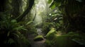 Beautiful environment of a rain forest